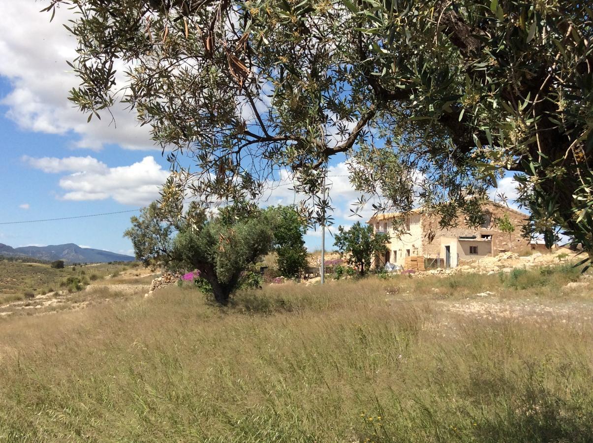Los Cuatro Vientos B&B Torre del Rico Kültér fotó