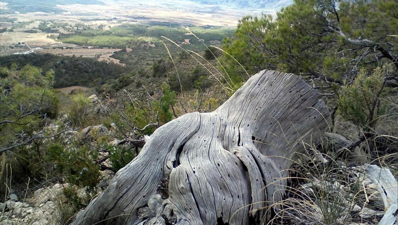 Los Cuatro Vientos B&B Torre del Rico Kültér fotó